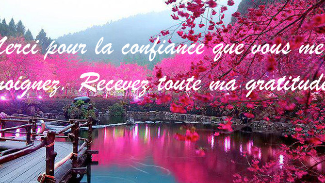 Remerciements