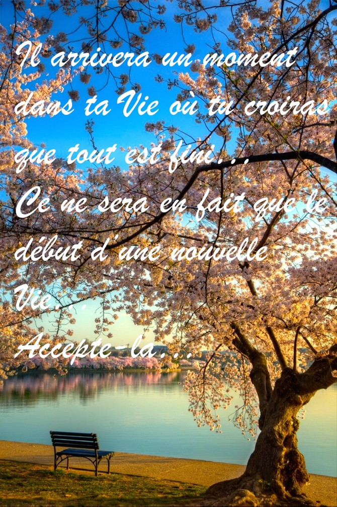 Une nouvelle Vie...