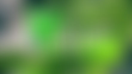 Young People's Life Group Launches: Euphrates