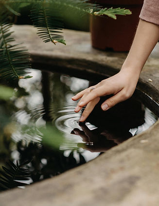 pexels-ganinph-7760793.jpg