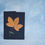 Thumbnail: Pressed Bloomer card ~ Maple ~ good luck,