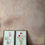Thumbnail: Original re-cycled packaging study ~ Scabiosa no.ii