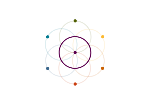 seed of life prime wave