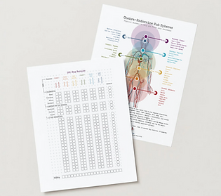 calm somatic tracker mock up.png