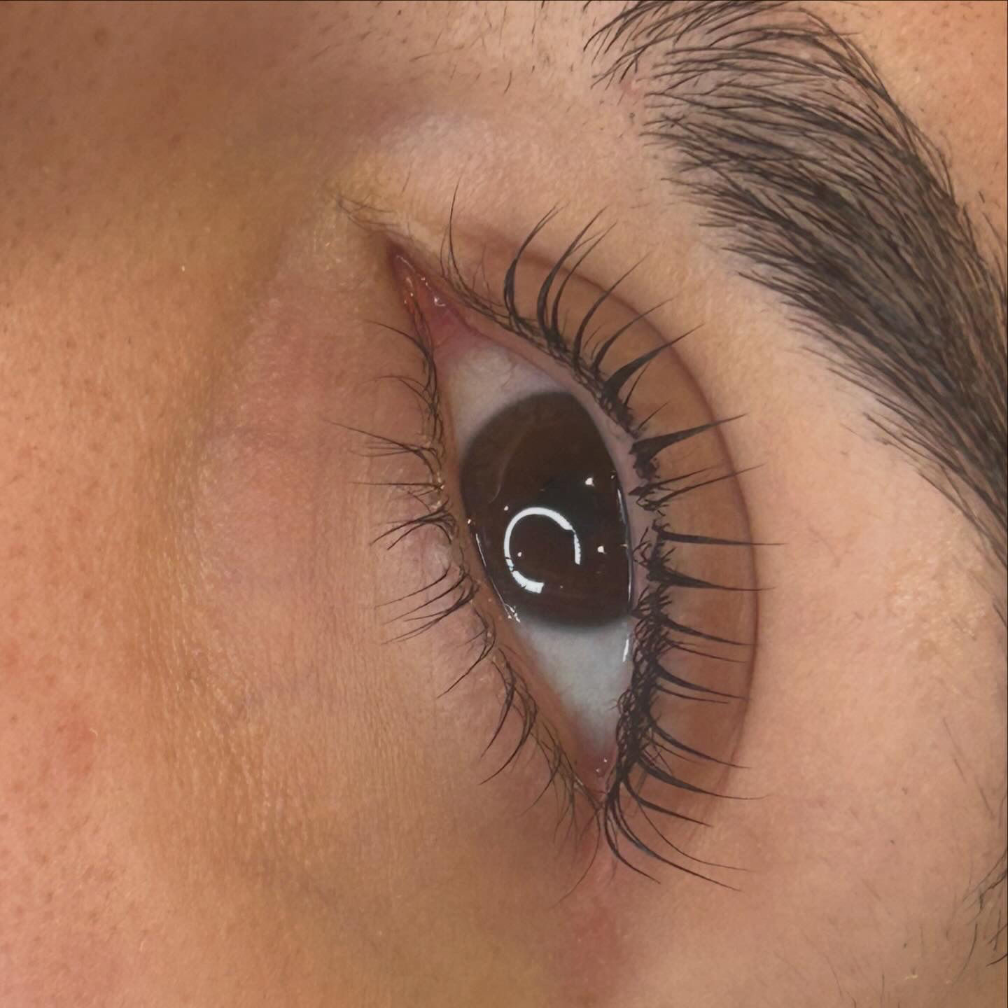 Korean Lash Lift