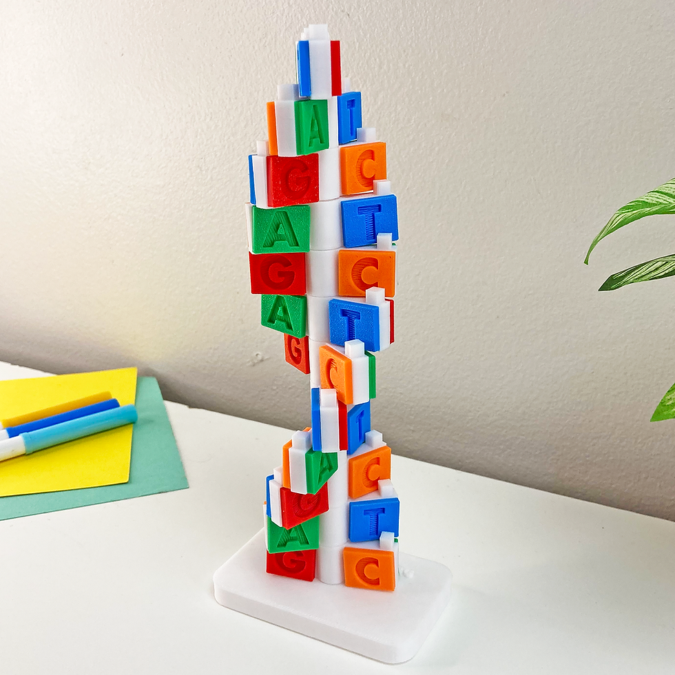 Thumbnail: Stand-Up DNA Model – Interactive Learning Display– Hands-On Science Tool - STEM