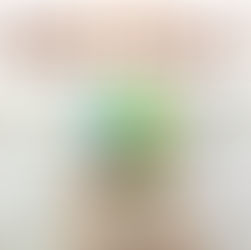 Four Seasons Tree Craft – A Fun Hands-On Activity for Kids! 🌳🍂❄️🌸