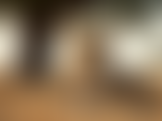 Discover the Wonders of Tanzania's Wildlife Safari