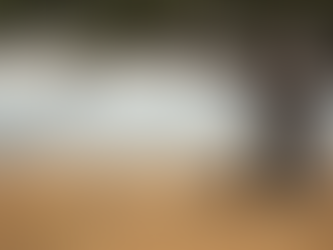 Unveiling the Magic of the Ngorongoro Crater