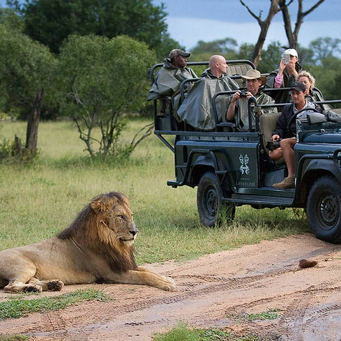londolozi1sq_4.jpg