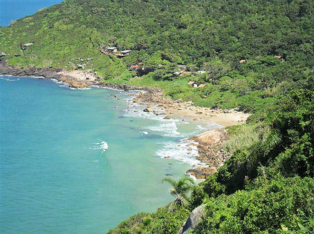 Praia Lagoinha do Leste - Vista da trilha