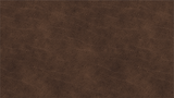 SPS_LEATHER_1920x1080px.png