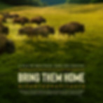 Copy of BRING-THEM-HOME-LOW-RES-JPGjpg - Candice Dalsing.jpg