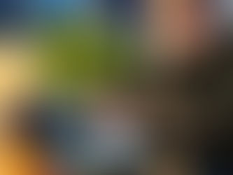 NEWS: New Year, new book…here we go!