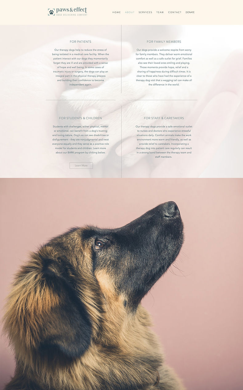 Paw&Effect_Website_Screengrabs_1_v2_Page