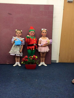 11698554_950895688295822_1677246237448780724_n