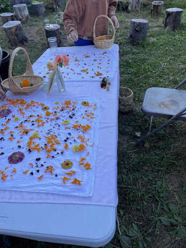 Bundle Dye and Flower Pounding with Monica Wilson