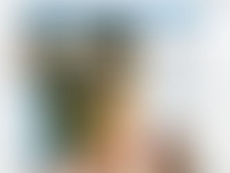 El 29 de octubre a las 19h presento "LALA" en la Biblioteca Ricardo León de Galapagar .