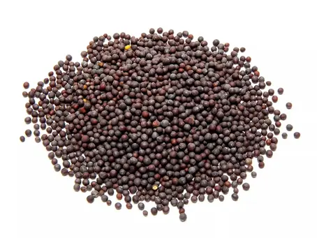 Mustard ( கடுகு )