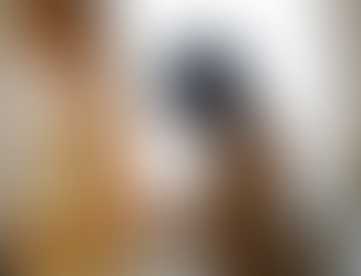 BRETT & RACHEL | MARRIED