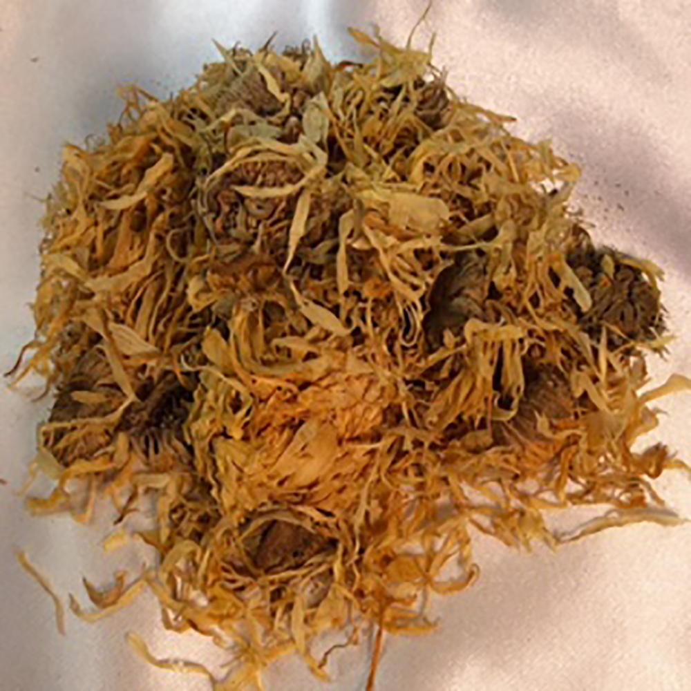 Calendula Flower
