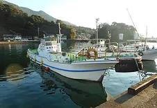 ゆき丸渡船ー三重県尾鷲市 磯釣り 磯渡し 紀東 東紀州での磯釣りをご案内いたします ゆき丸渡船ー三重県尾鷲市 磯釣り 磯渡し 紀東 東紀州での磯釣りをご案内いたします