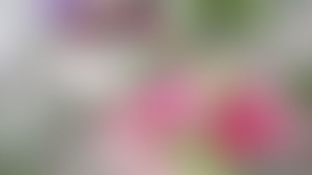 花笑みマルシェ　インテリアフラワー販売