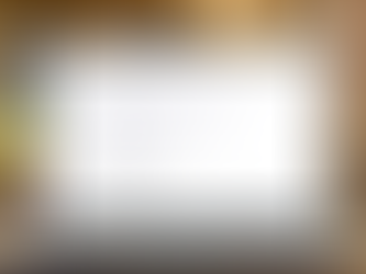 BrikkDog Search Results