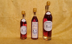 Armagnac 2001