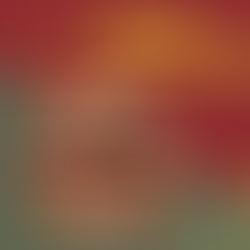 Parabéns a todos os advogados!