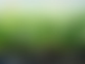 January Growing Zone 7A