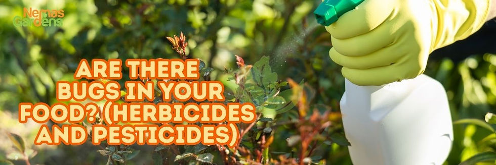 Gloved hand sprays plants with white bottle. Text reads: "Are there bugs in your food? (Herbicides and pesticides)" in bold orange letters.
