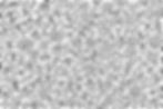 vecteezy_random-black-and-white-abstract-lines_67115760.jpg