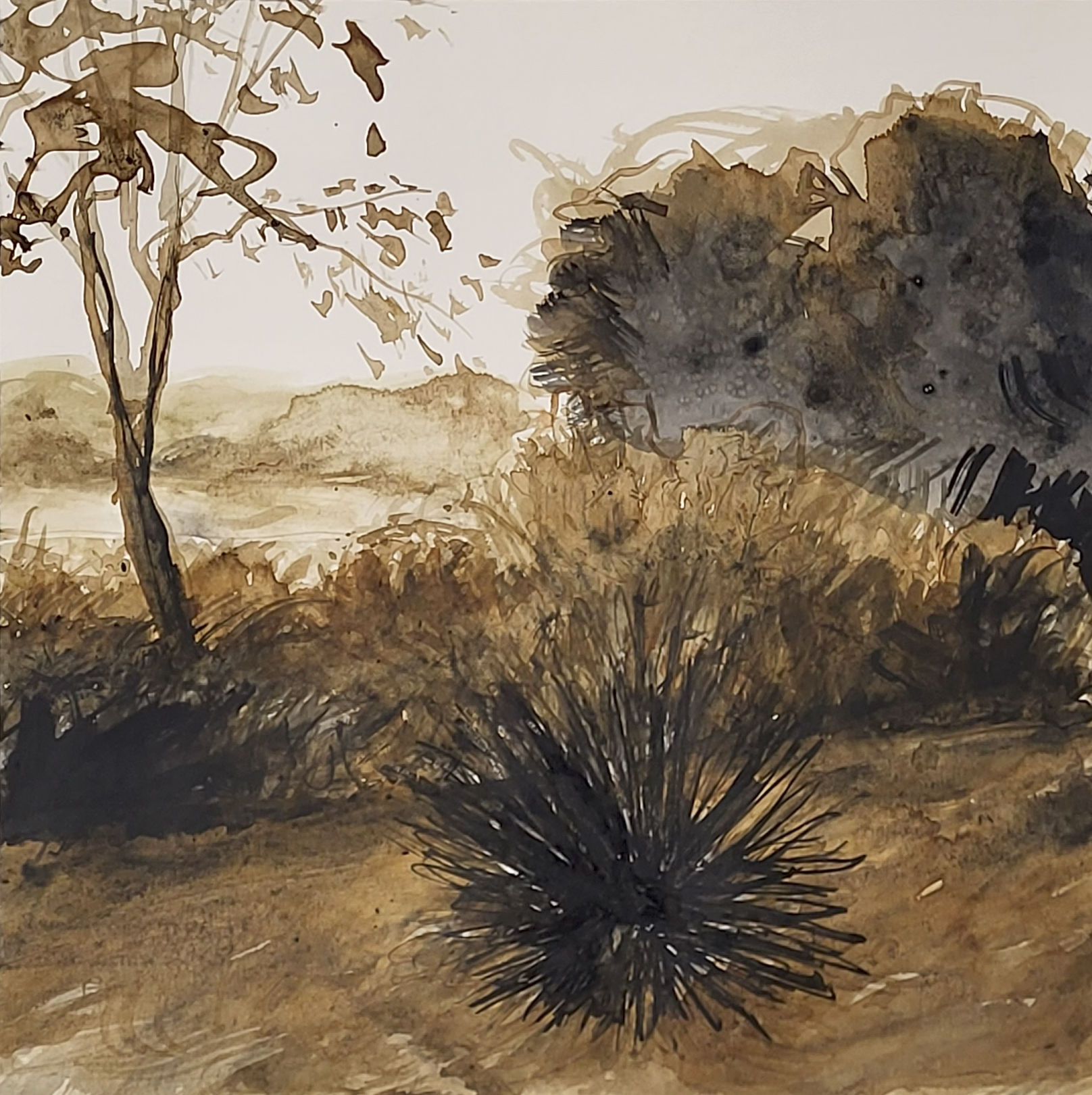 YUCCA YARD STUDY