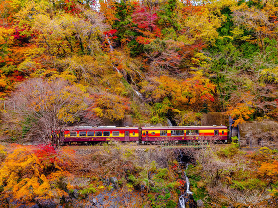 Gunma 5.jpg