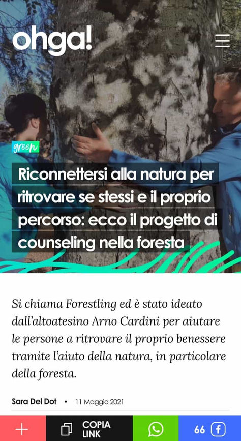 Parlano di noi sulla stampa