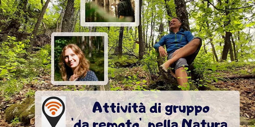 RILASSARSI CON GLI ALBERI