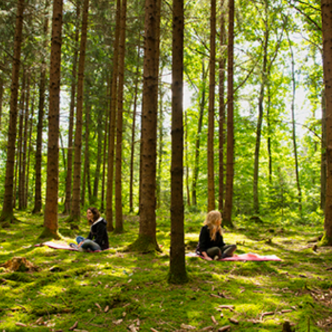 Stare nella Natura fa bene