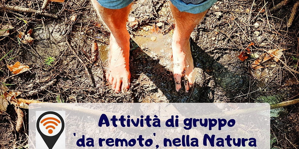 RADICARCI, IMPARIAMO DAGLI ALBERI