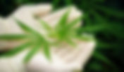 Efficacy of Antipsychotics for First-Episode Psychosis and Cannabis Use Disorder