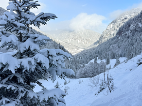 Neuschnee