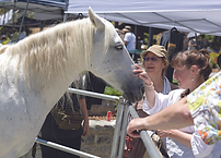 9mt heritage neil meeting horses.tif