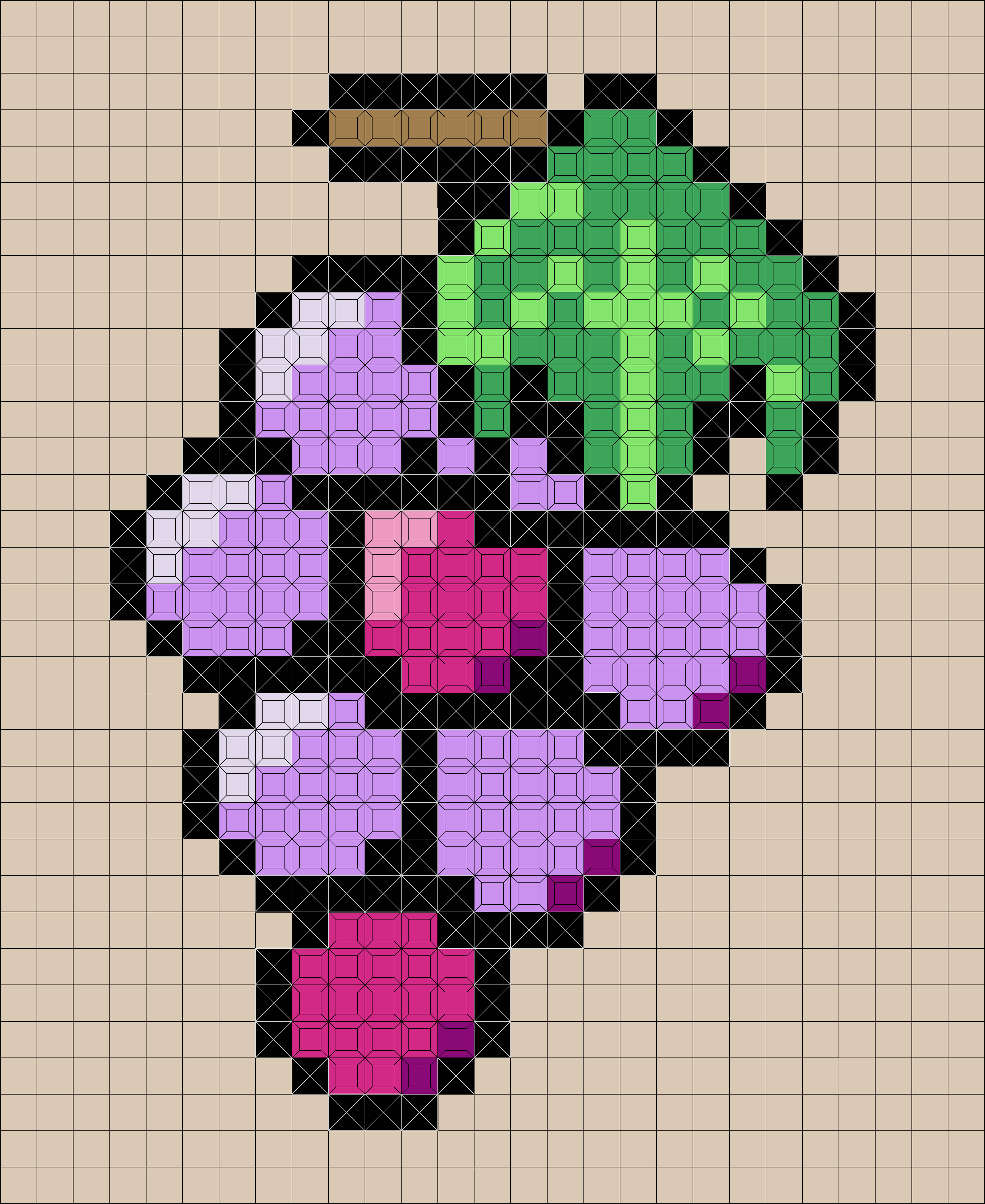 grape(891pcs.)