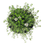 Miniatura: TIMO
