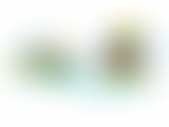 Tourism Kept Maldives Liquid, But Not Resilient