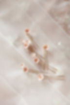 Forcine sposa Nina Bridal Hair Pins by Jonida Ripani