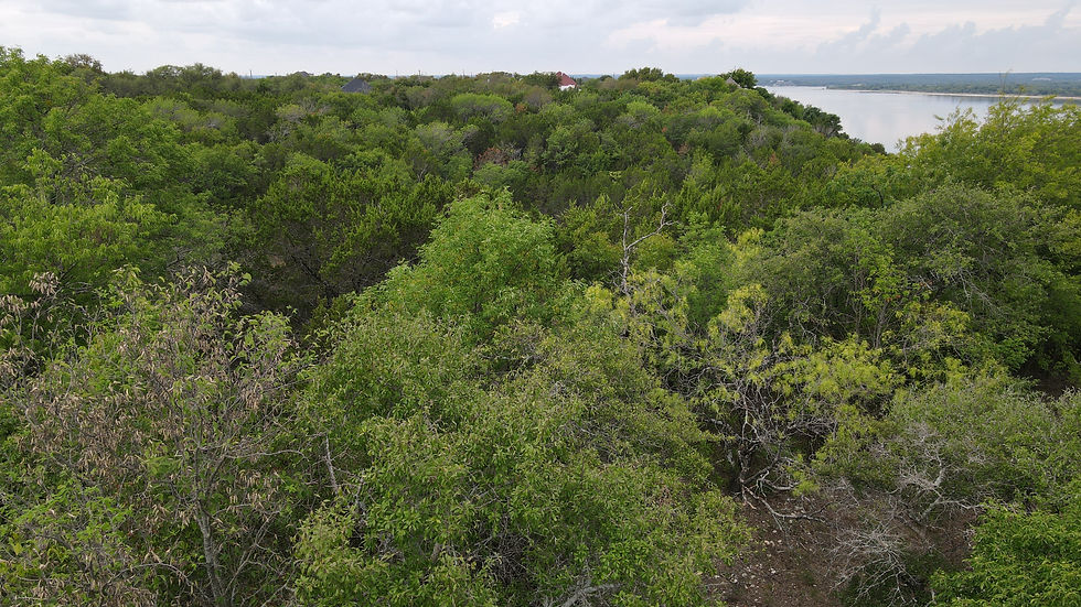 Thumbnail: 3039 Ash Court .34 Acres