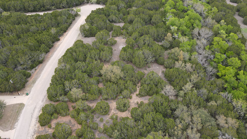Thumbnail: 12045 Shady Creek Drive .52