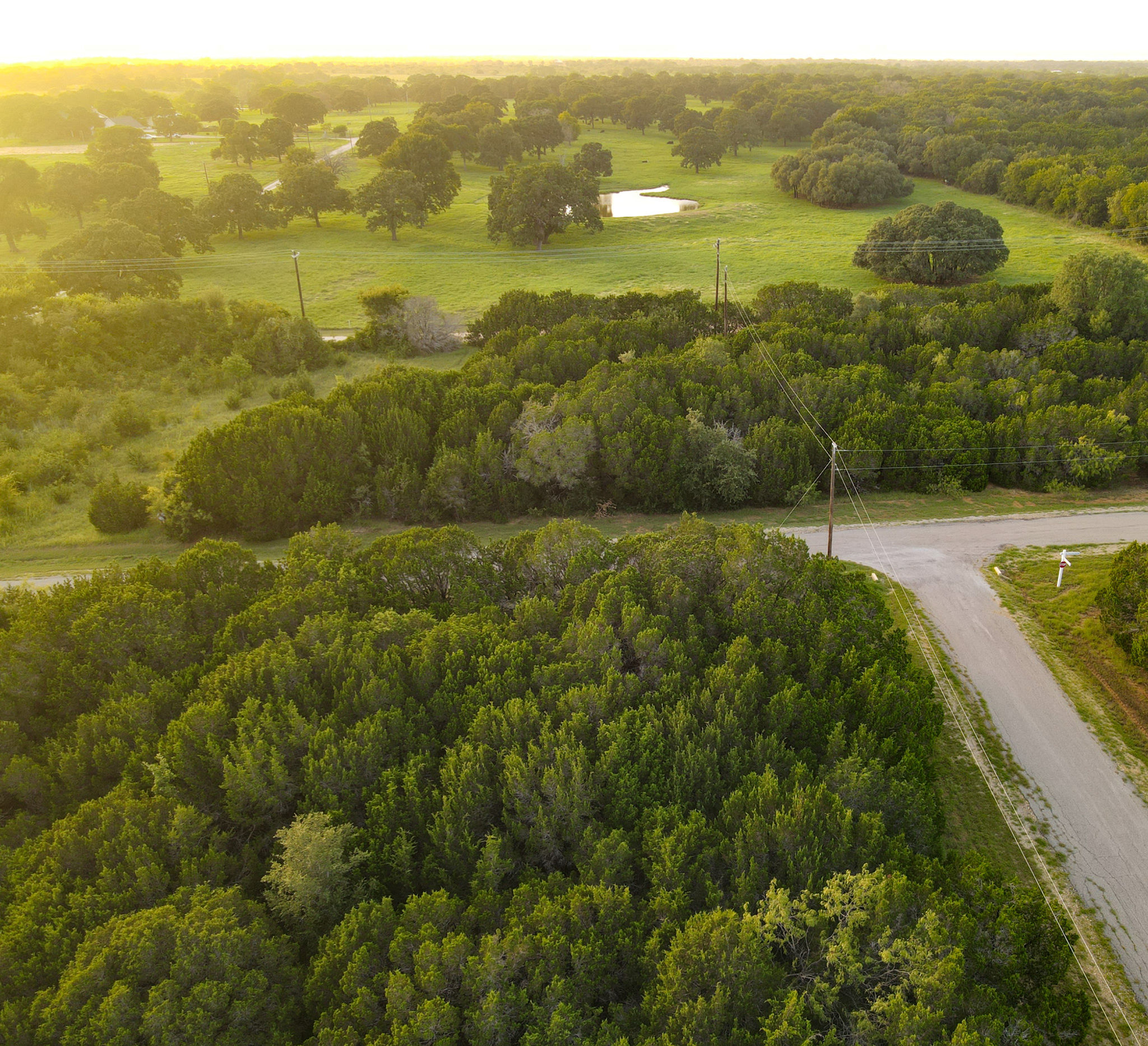 12166 Westmeadow .36 Acres