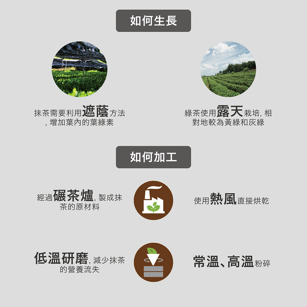 抹茶粉VS綠茶粉